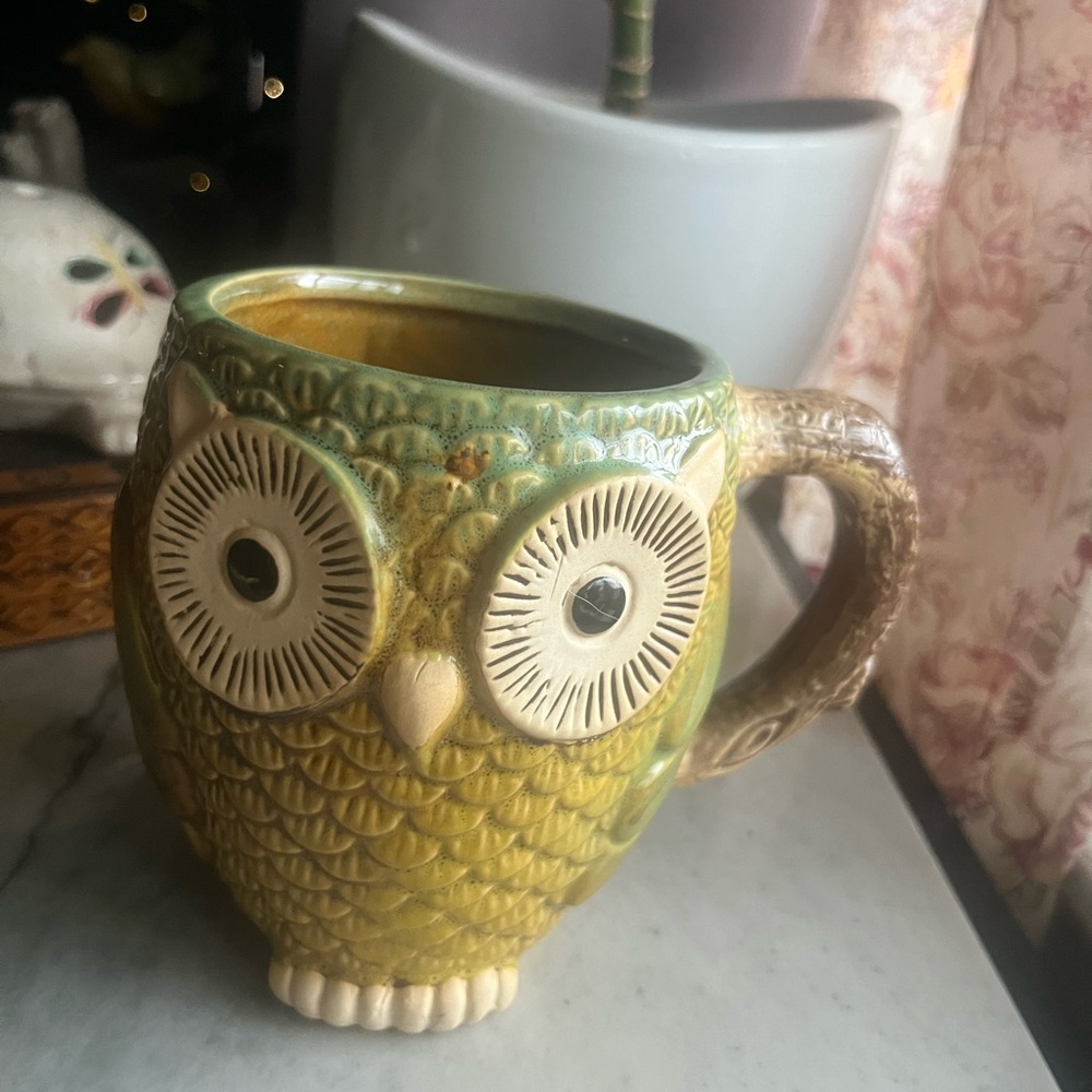 Gibson Home Glazed Ceramic Green Ombre Owl Coffee Cup Mug